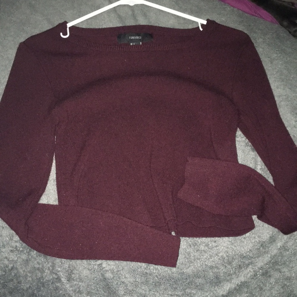 Forever 21 cropped sweater